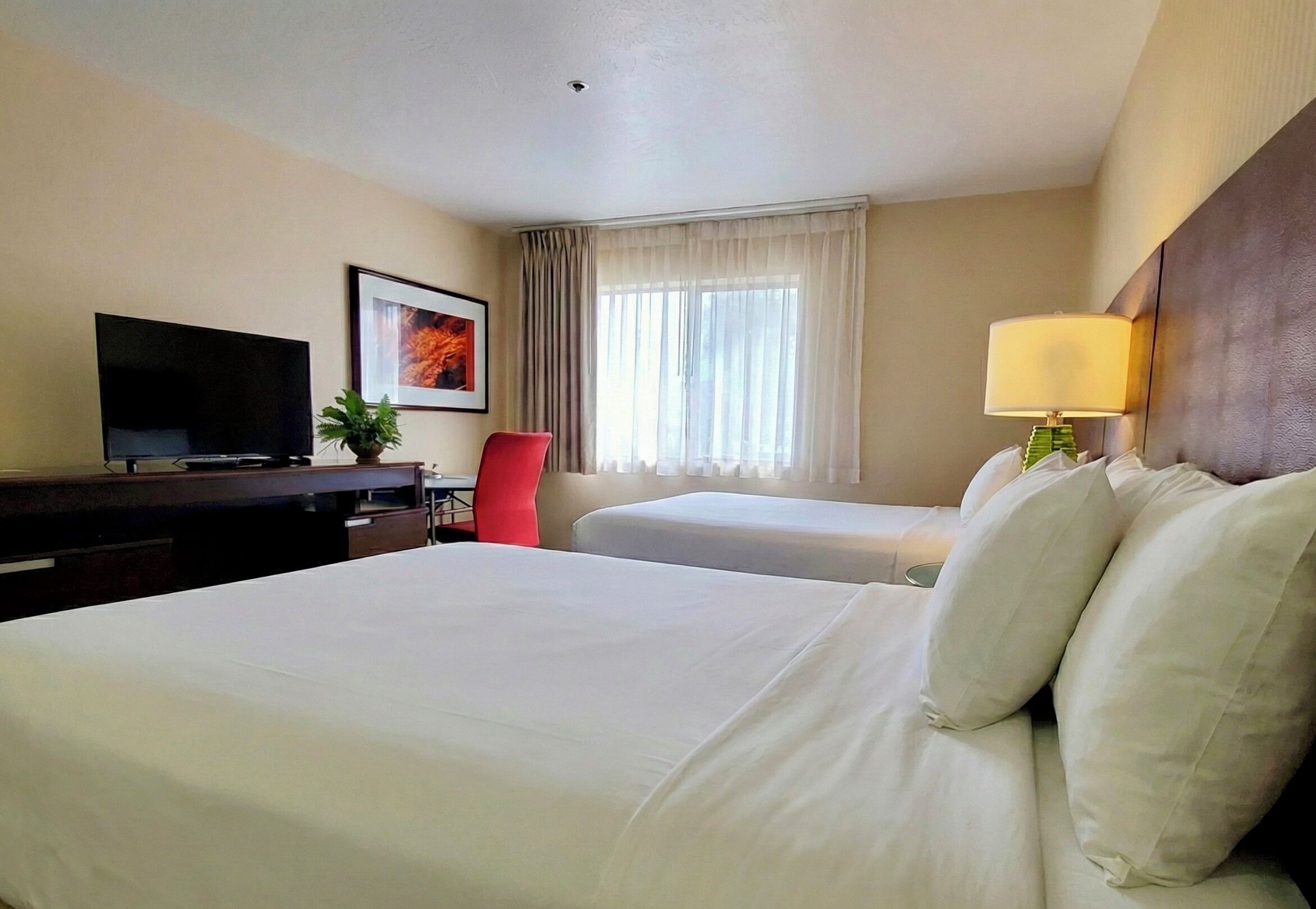 Roba de llit d'alta qualitat, escriptori i planxa i posts de planxar 