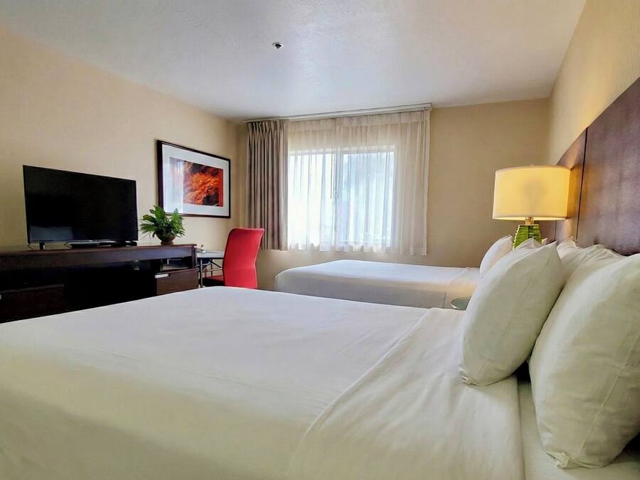 Habitación de hotel con una cama grande, un escritorio con televisor, una silla, una ventana con cortinas y una lámpara.