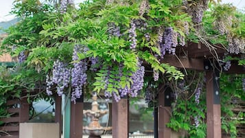 Dinner served, American cuisine