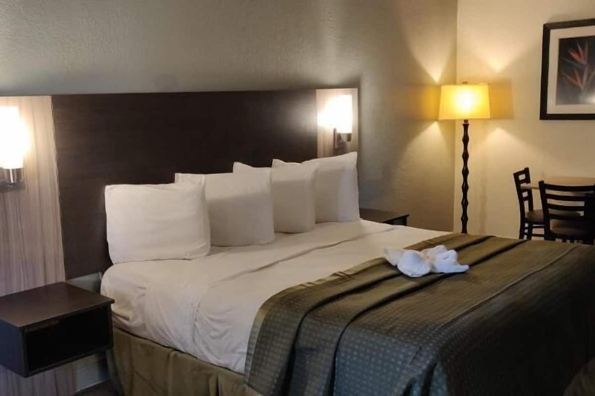 Escritorio, wifi, ropa de cama y despertador