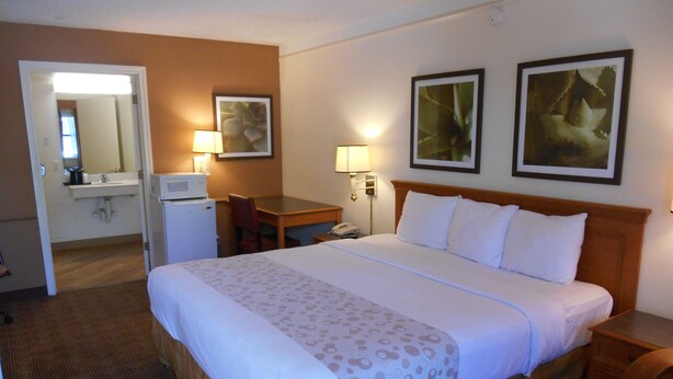 Room - Motel 6 Houston Medical Center Reliant Park (Houston)