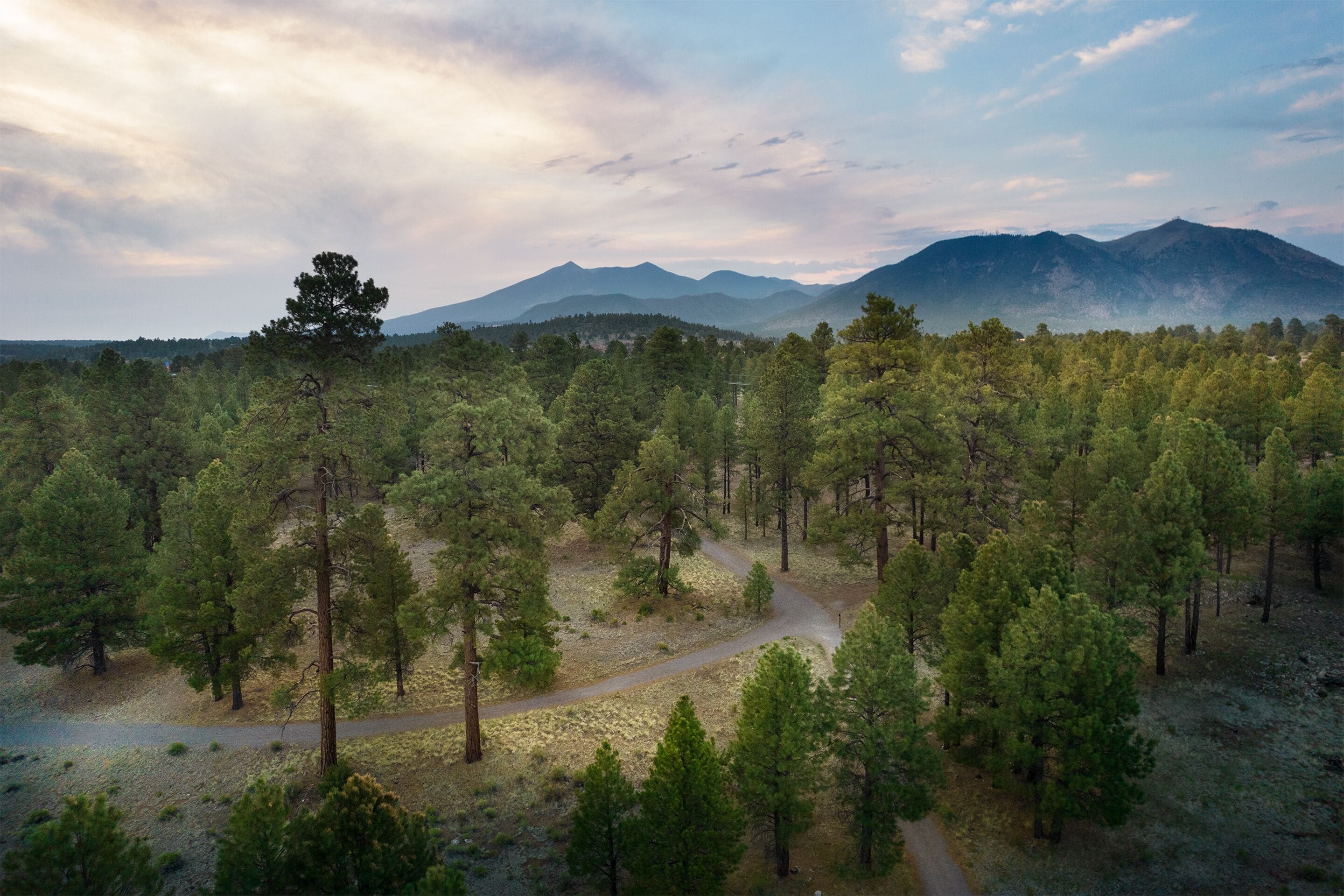 A forested area with a winding path and distant mountains.