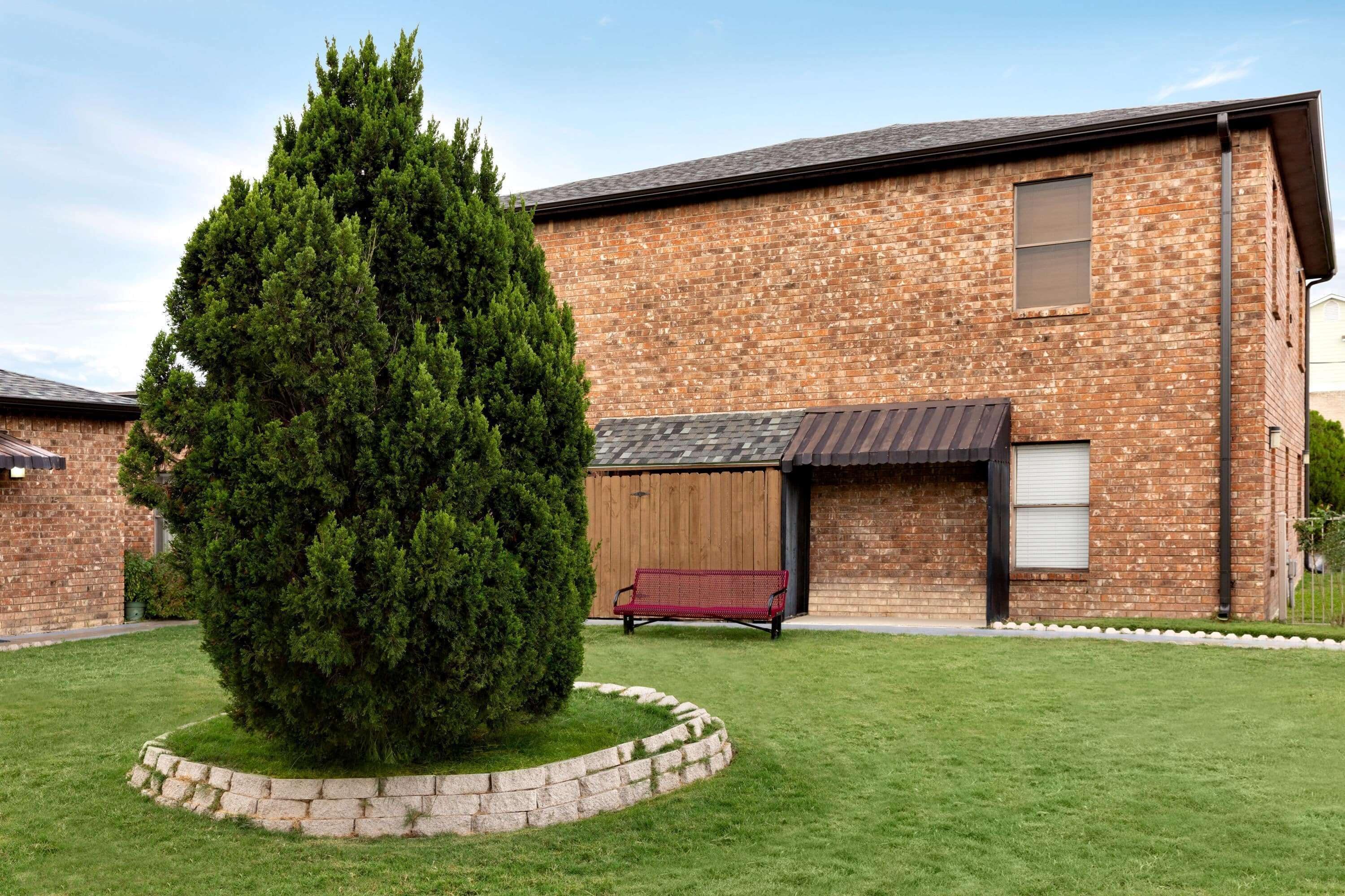 A brick building with a large evergreen tree in front, a red bench, and a wooden door.