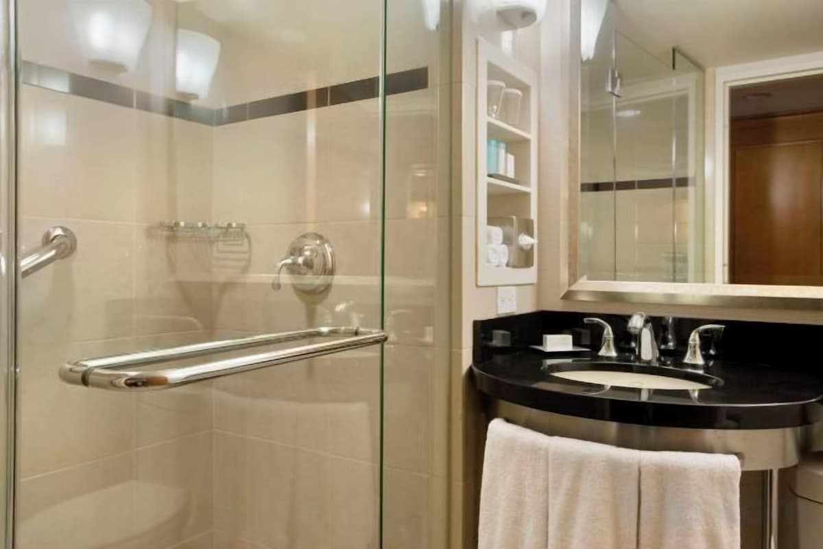 Designer toiletries, hair dryer, towels