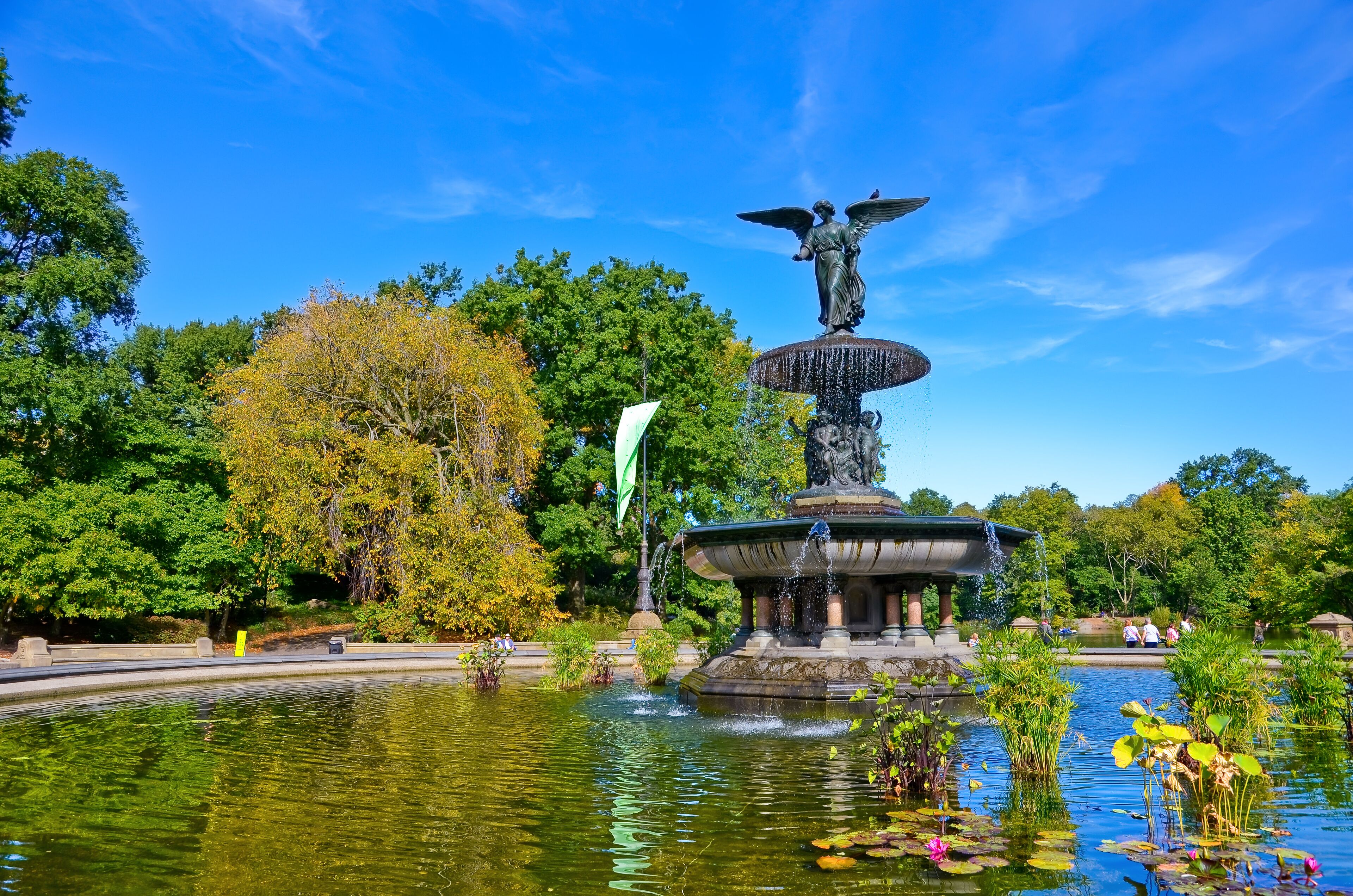 Un parque con una fuente, árboles y un estanque.