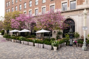 Se sirven cenas y cocina europea moderna
