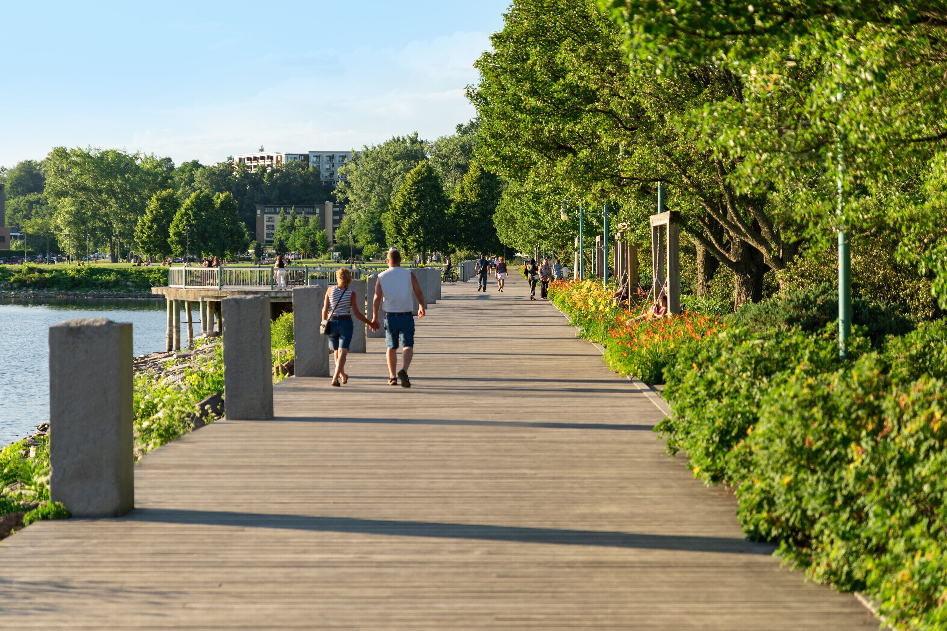 A wooden boardwalk by a body of water, lined with greenery and trees.