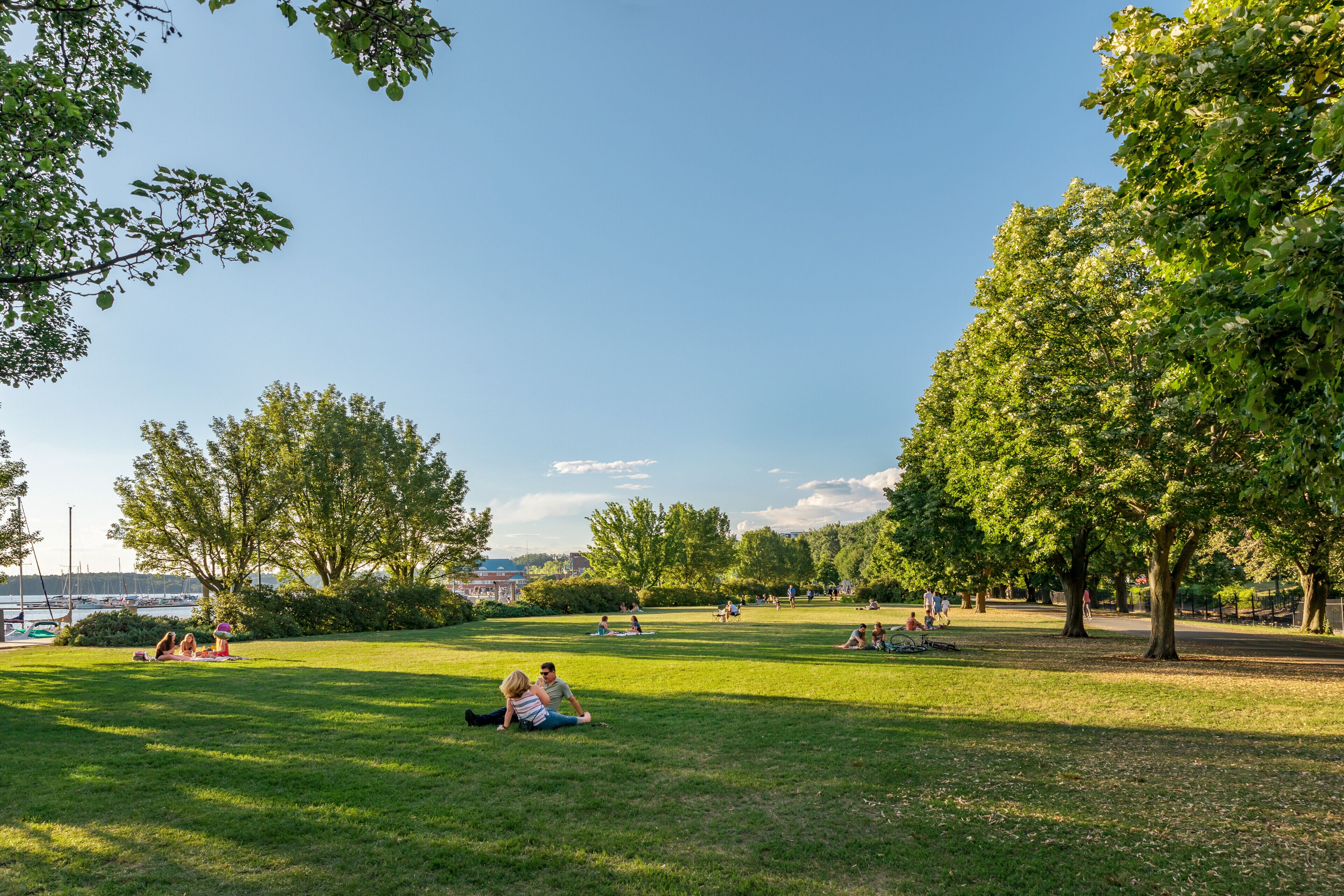 Un parc où l’on peut voir des gens se détendre sur l’herbe, des arbres et un ciel dégagé.