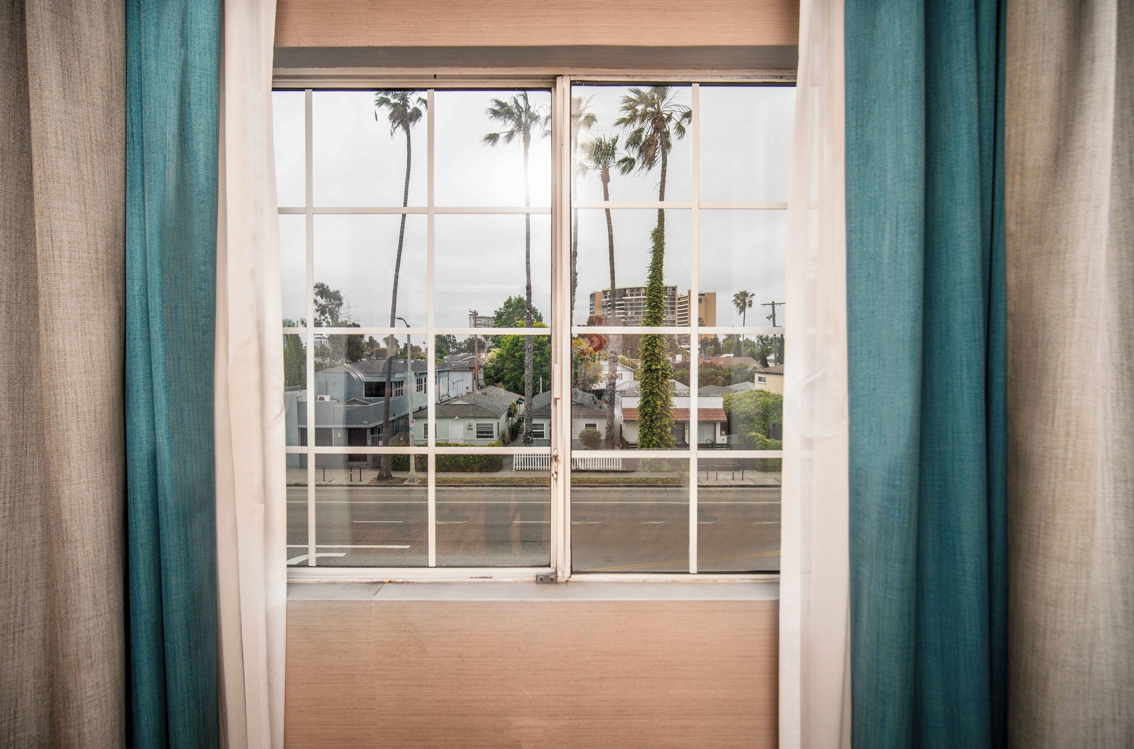 Una ventana con vista a una zona residencial, con casas y palmeras.