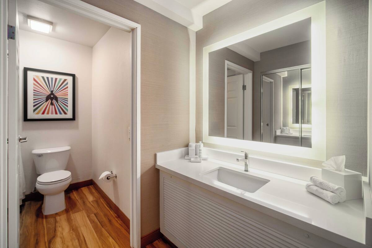 room, 1 king bed, city view | bathroom | combined shower/bathtub, free toiletries, towels