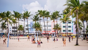 Ein Strand mit Palmen und dem Boulevard Hotel im Hintergrund.