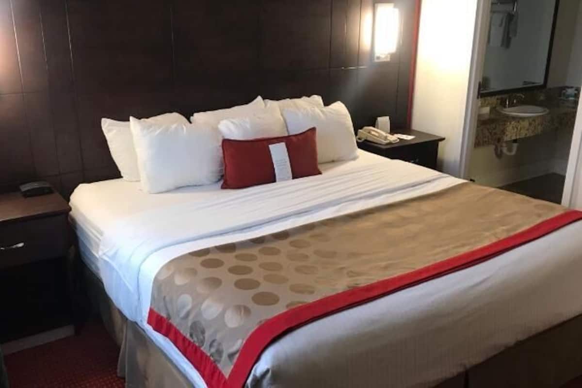 Premium bedding, in-room safe, desk, iron/ironing board