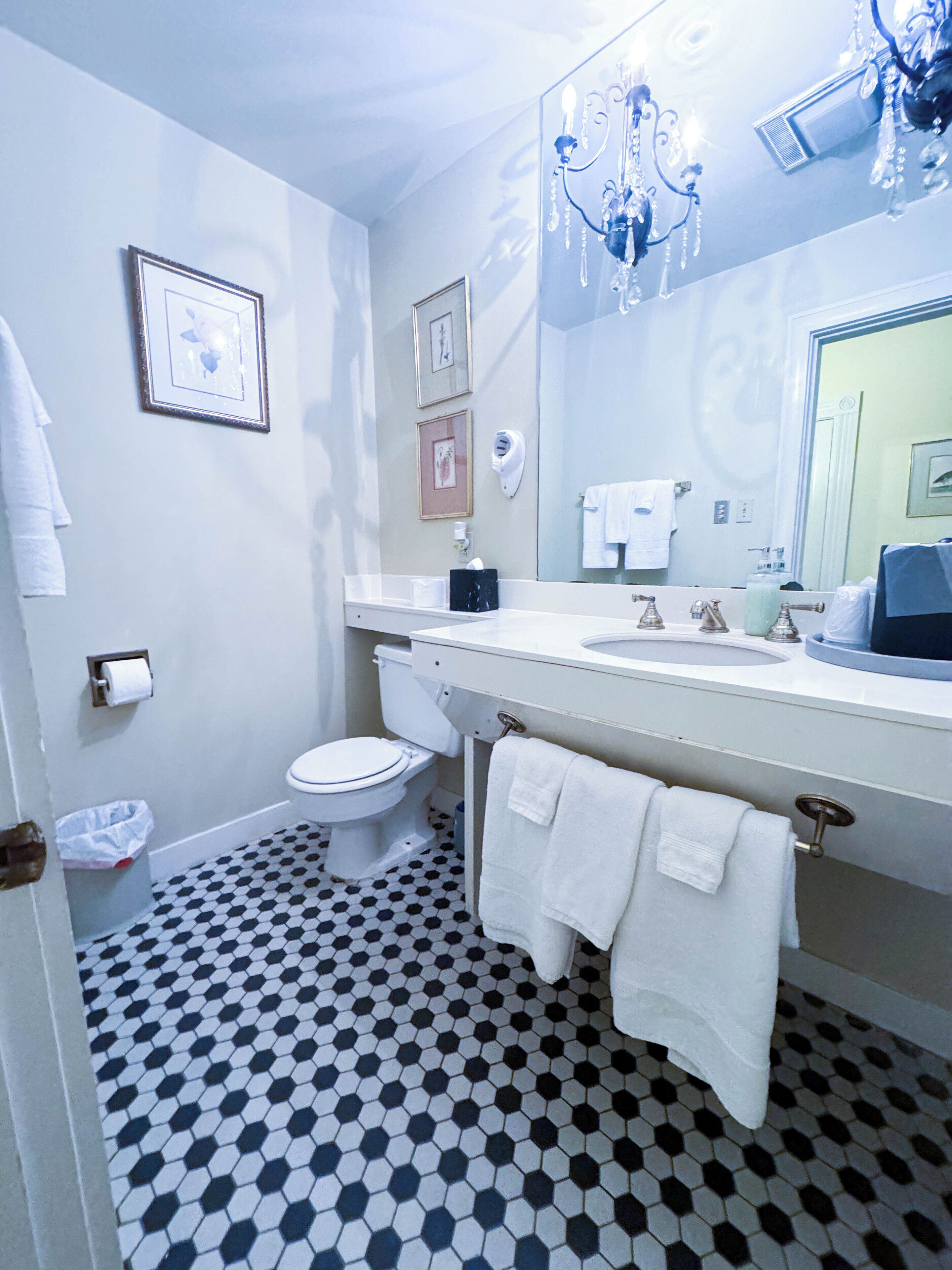 Une salle de bain avec des toilettes, un lavabo et un miroir. Des serviettes sont accrochées au mur et il y a une poubelle.