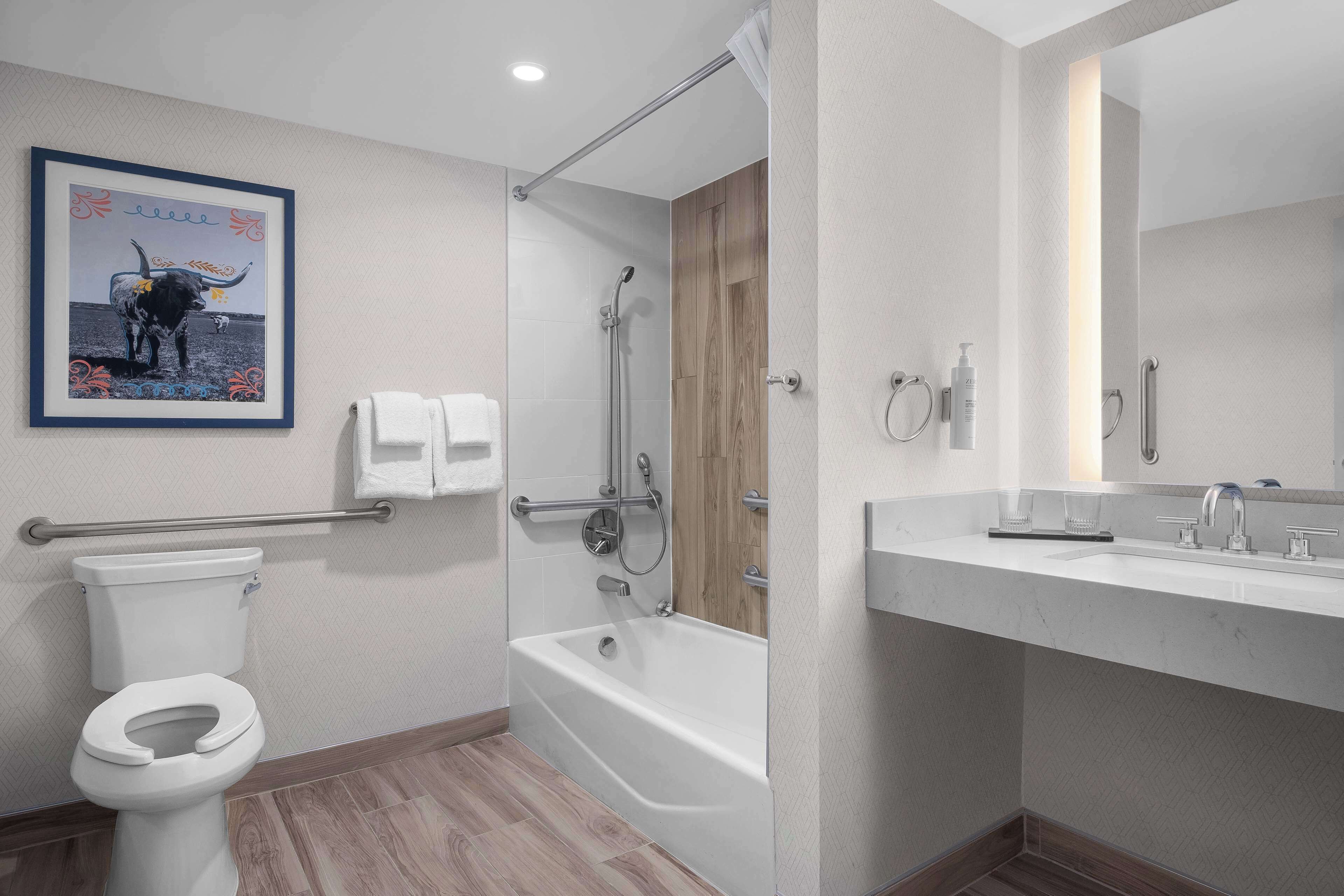 combined shower/bathtub, free toiletries, hair dryer, towels