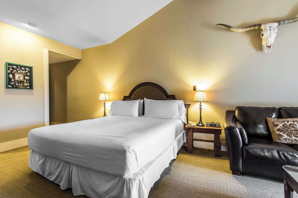 A hotel room with a large bed, two bedside lamps, a black leather sofa, a wall-mounted cow skull, and a framed picture on the wall.