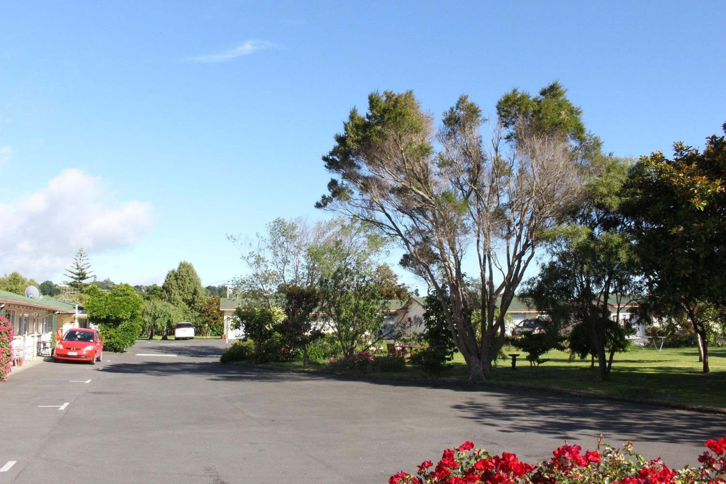 A quiet street with a red car parked on the side, surrounded by trees and residential buildings.