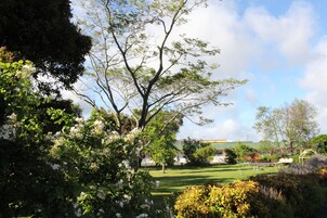 Vista desde la propiedad