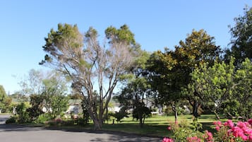 A residential street with trees and flowering bushes.