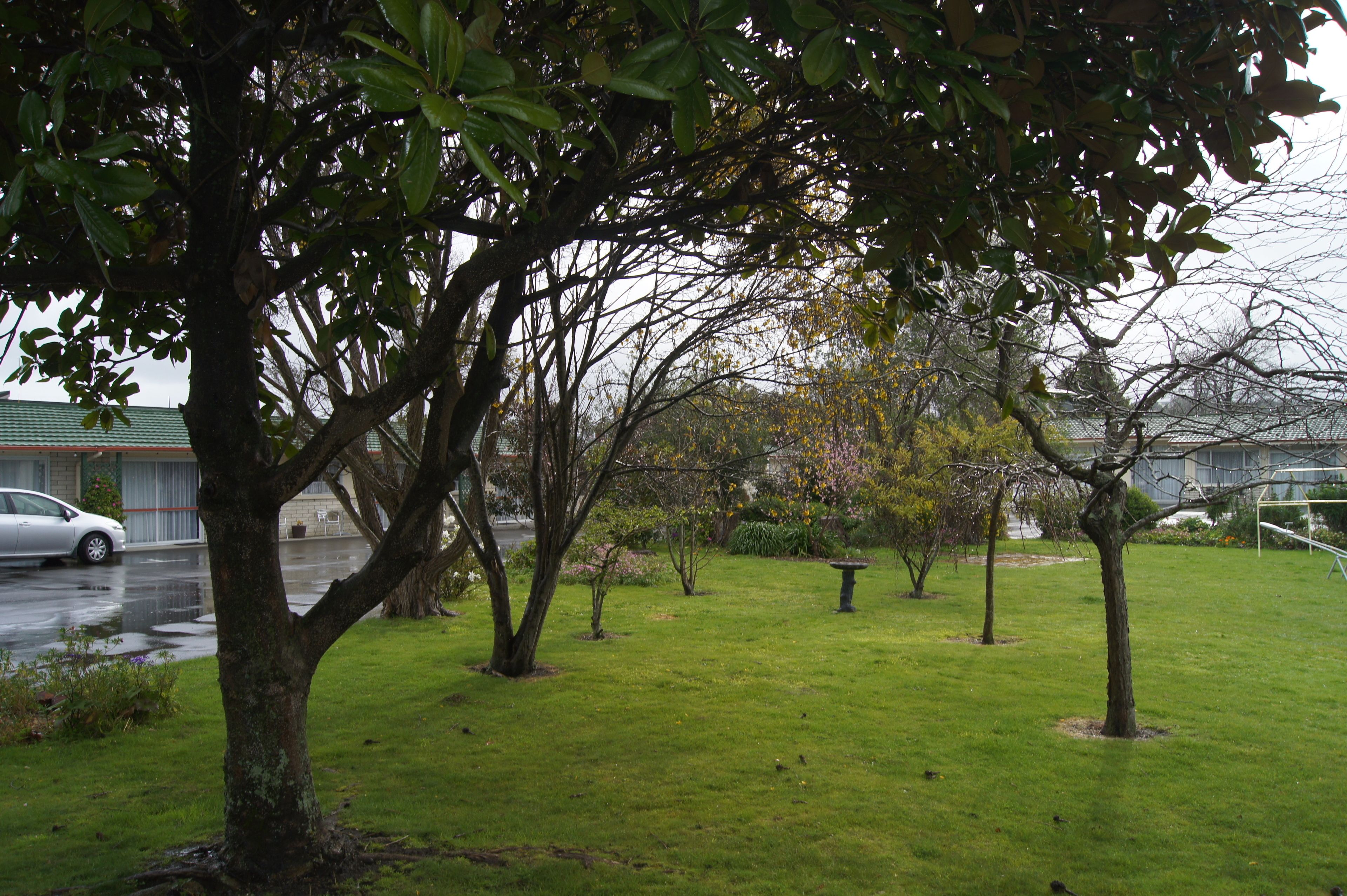 A grassy area with trees and a small garden.
