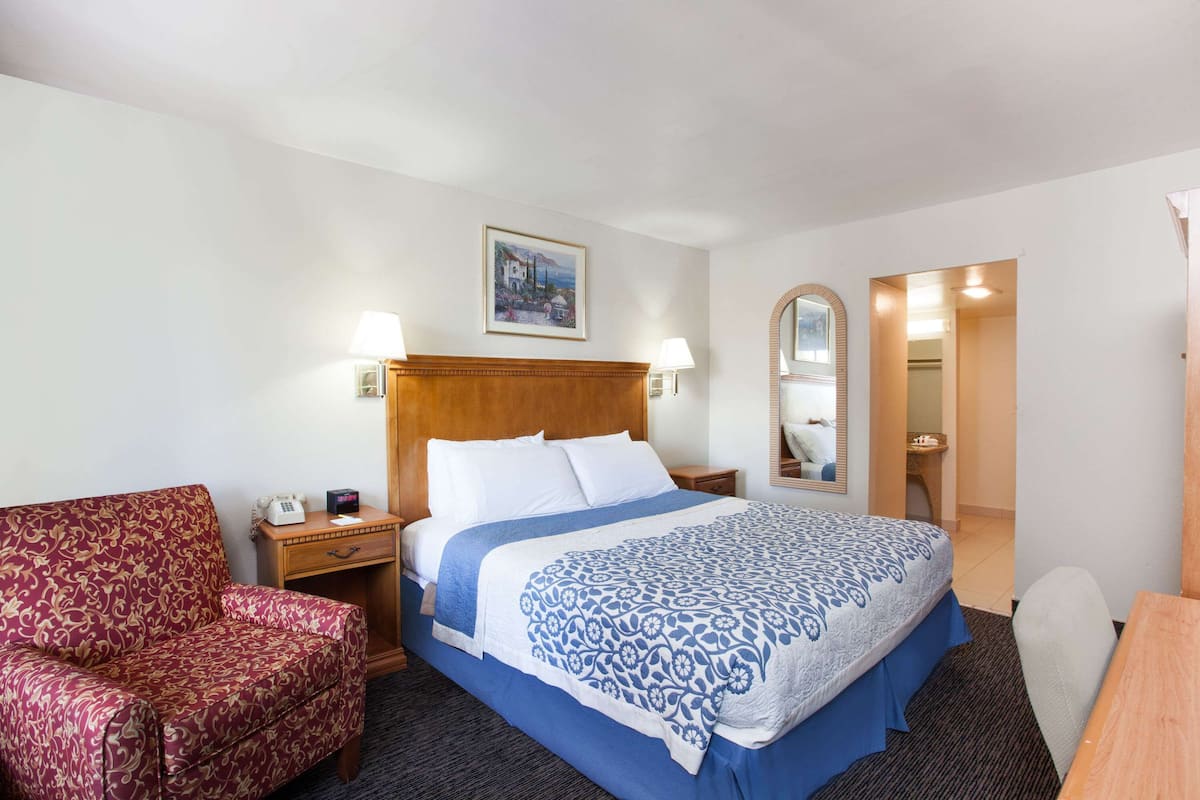 Room, 1 King Bed, Non Smoking | Desk, laptop workspace, iron/ironing board, free WiFi