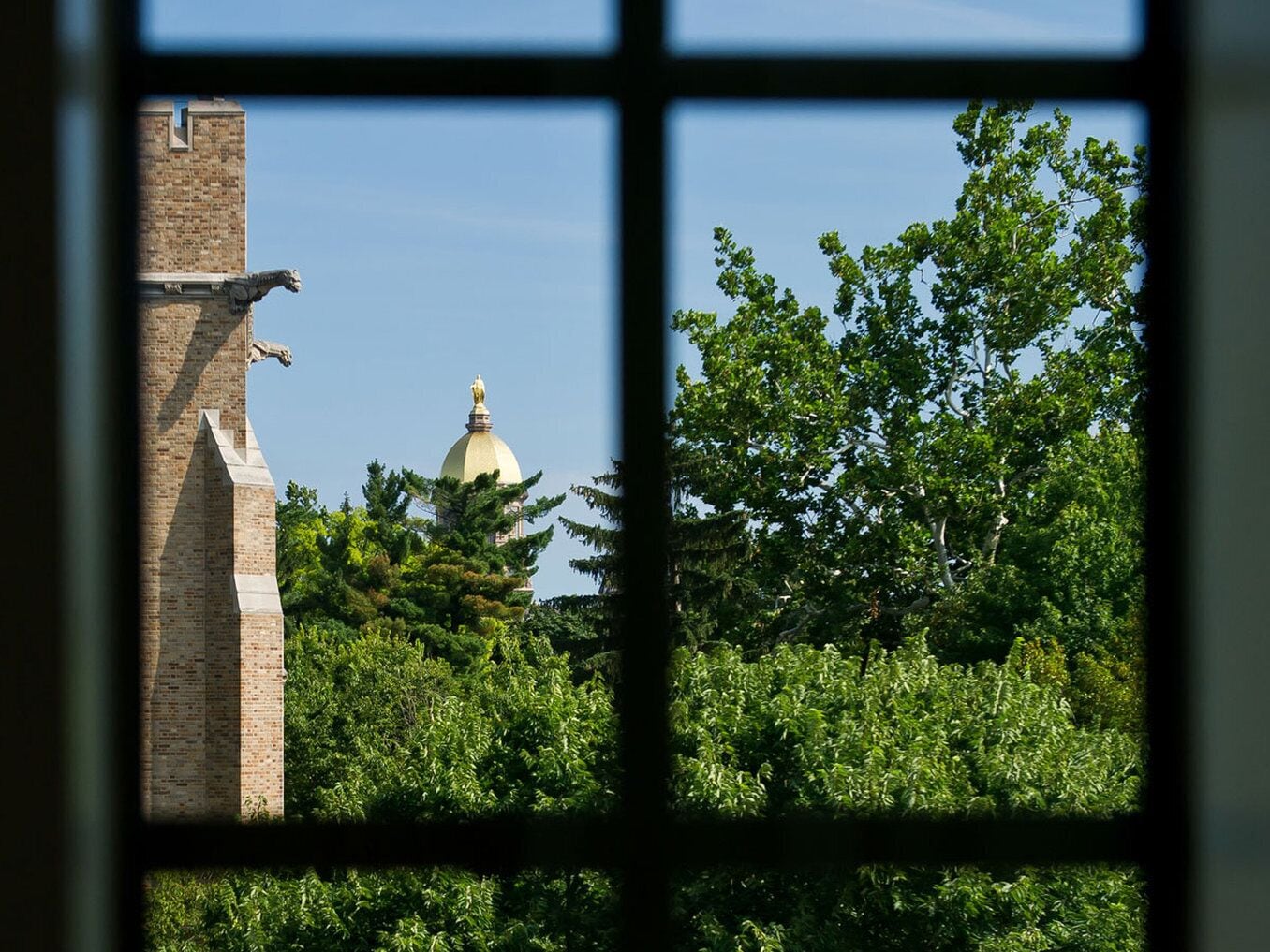 1 bedroom, premium bedding, pillow-top beds, in-room safe