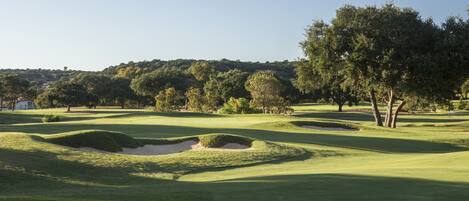 A golf course with well-maintained grass, sand bunkers, and trees.