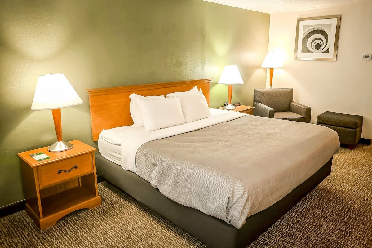 Standard Room, 1 King Bed, Non Smoking | Laptop workspace, blackout drapes, soundproofing, iron/ironing board