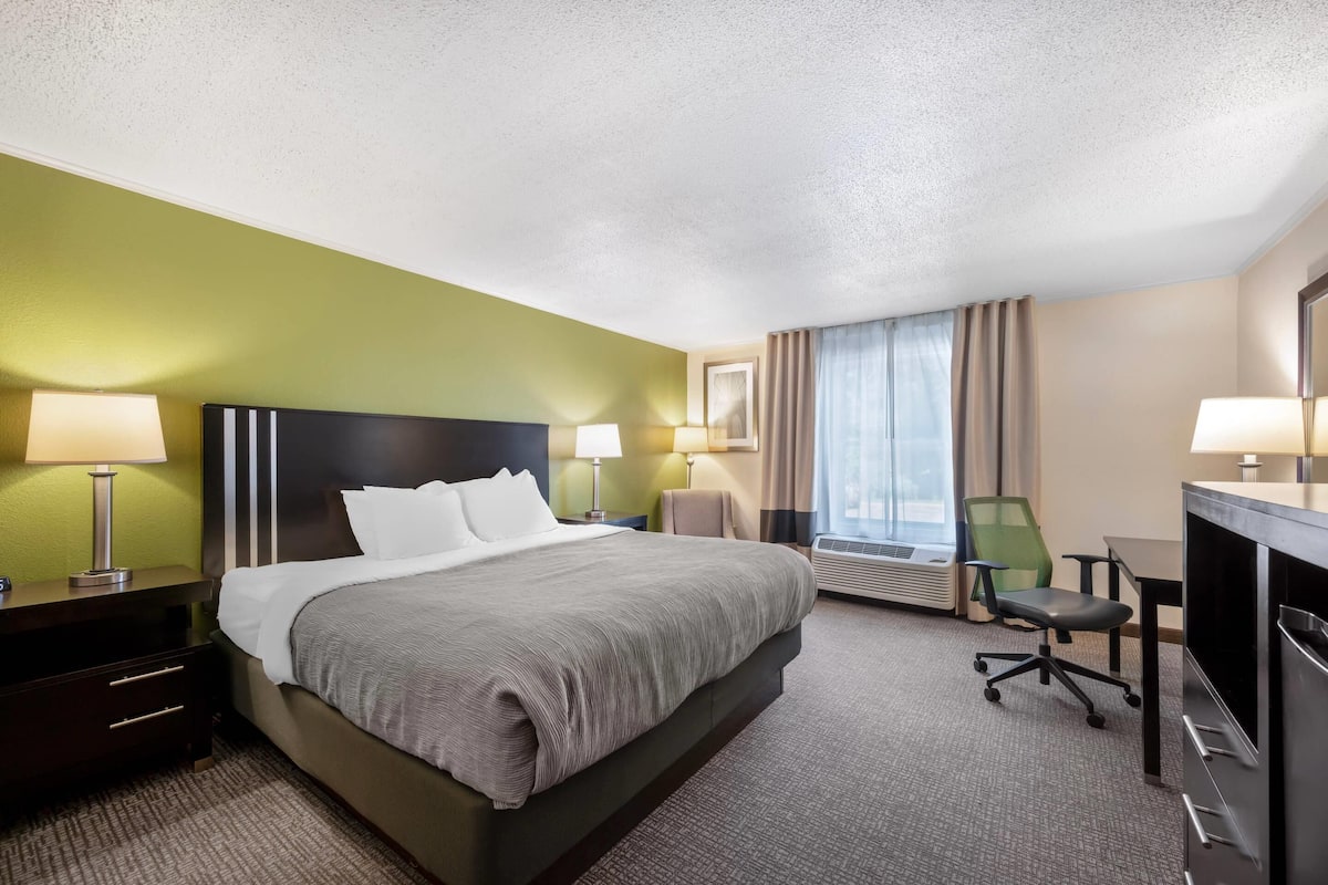 Standard Room, 1 King Bed, Non Smoking | Laptop workspace, blackout drapes, soundproofing, iron/ironing board