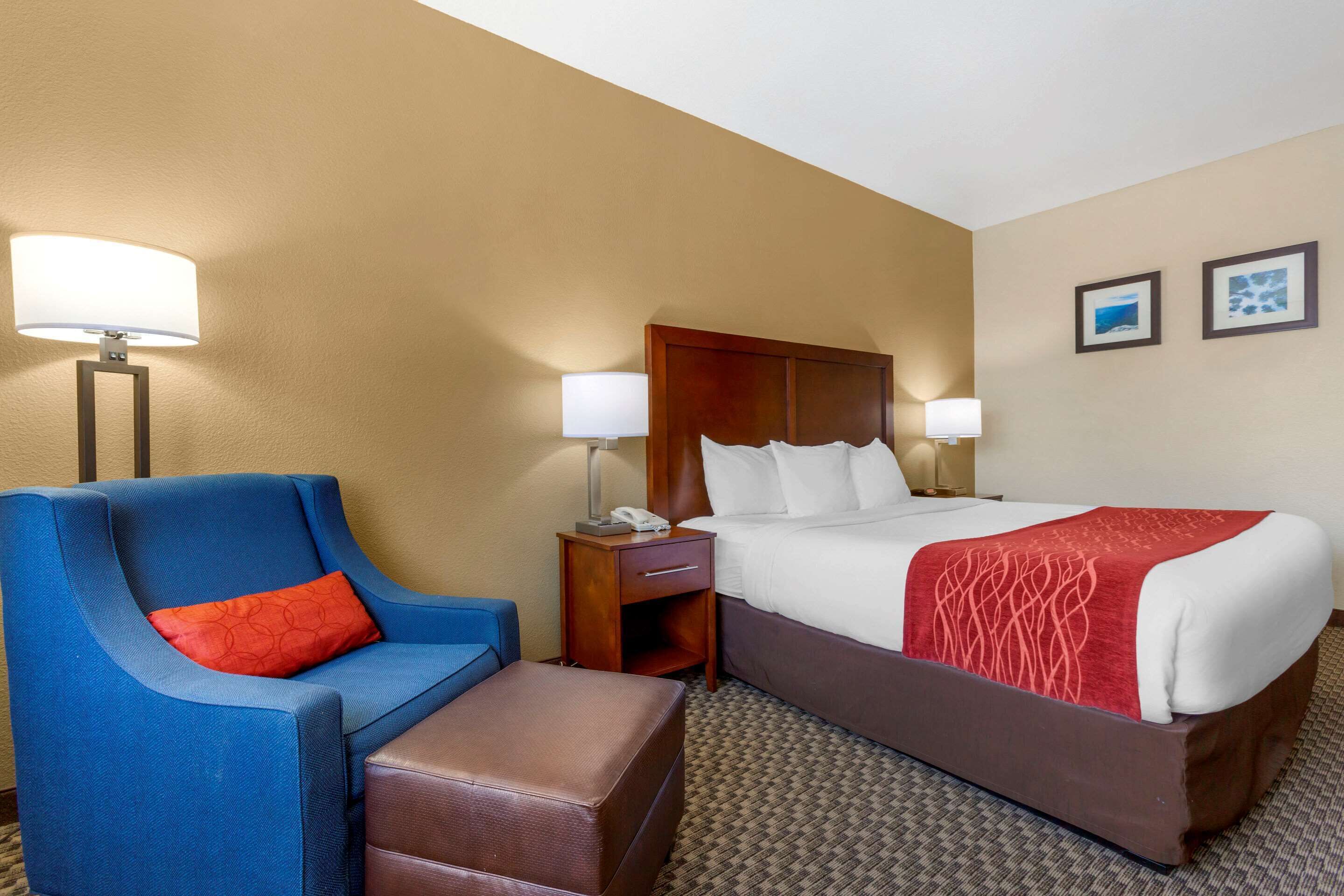A hotel room with a bed, a blue armchair, a wooden nightstand, and a lamp.