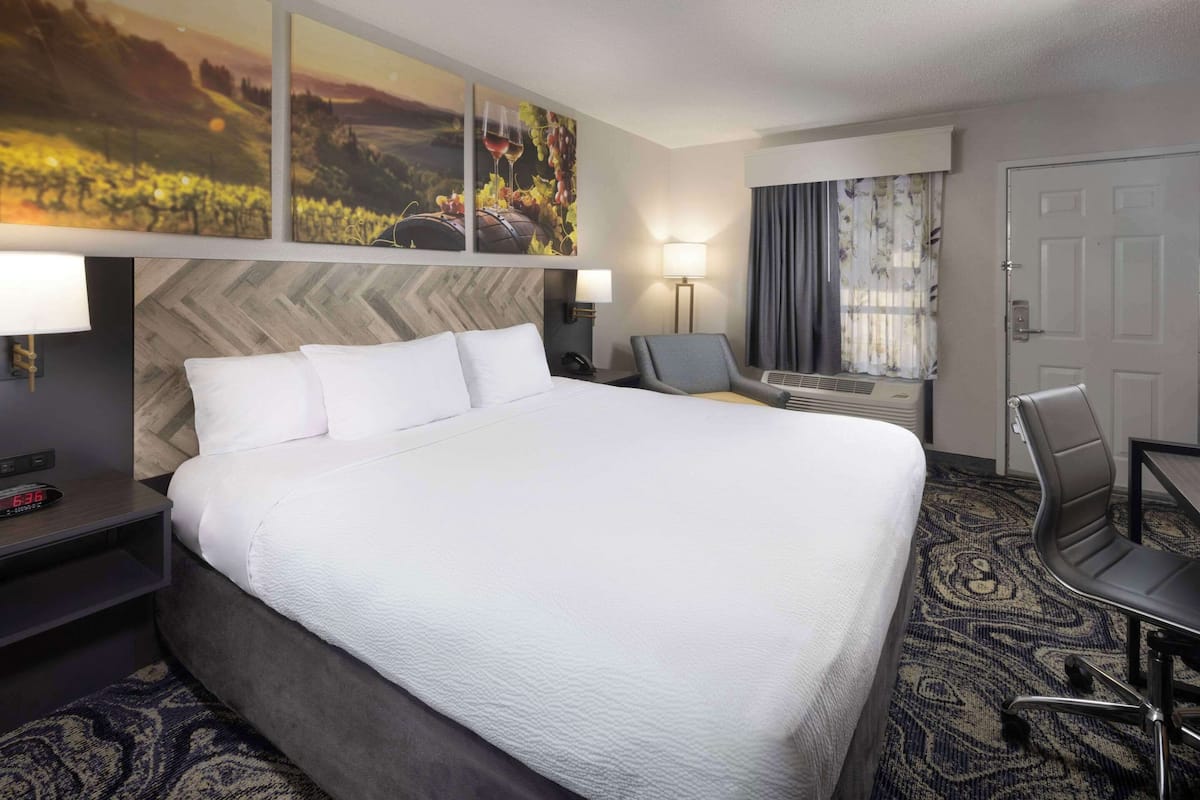Standard Room, 1 King Bed, Non Smoking | Desk, blackout curtains, iron/ironing board, free WiFi