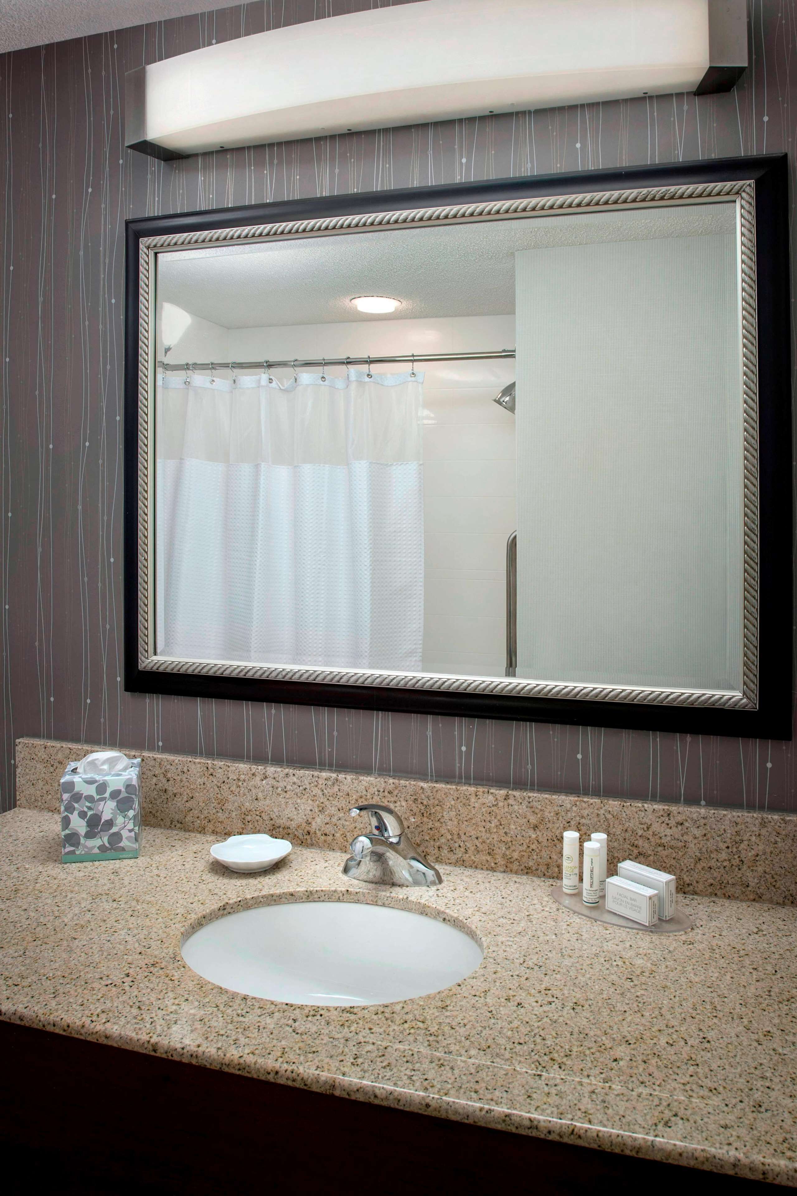 combined shower/bathtub, free toiletries, hair dryer, towels