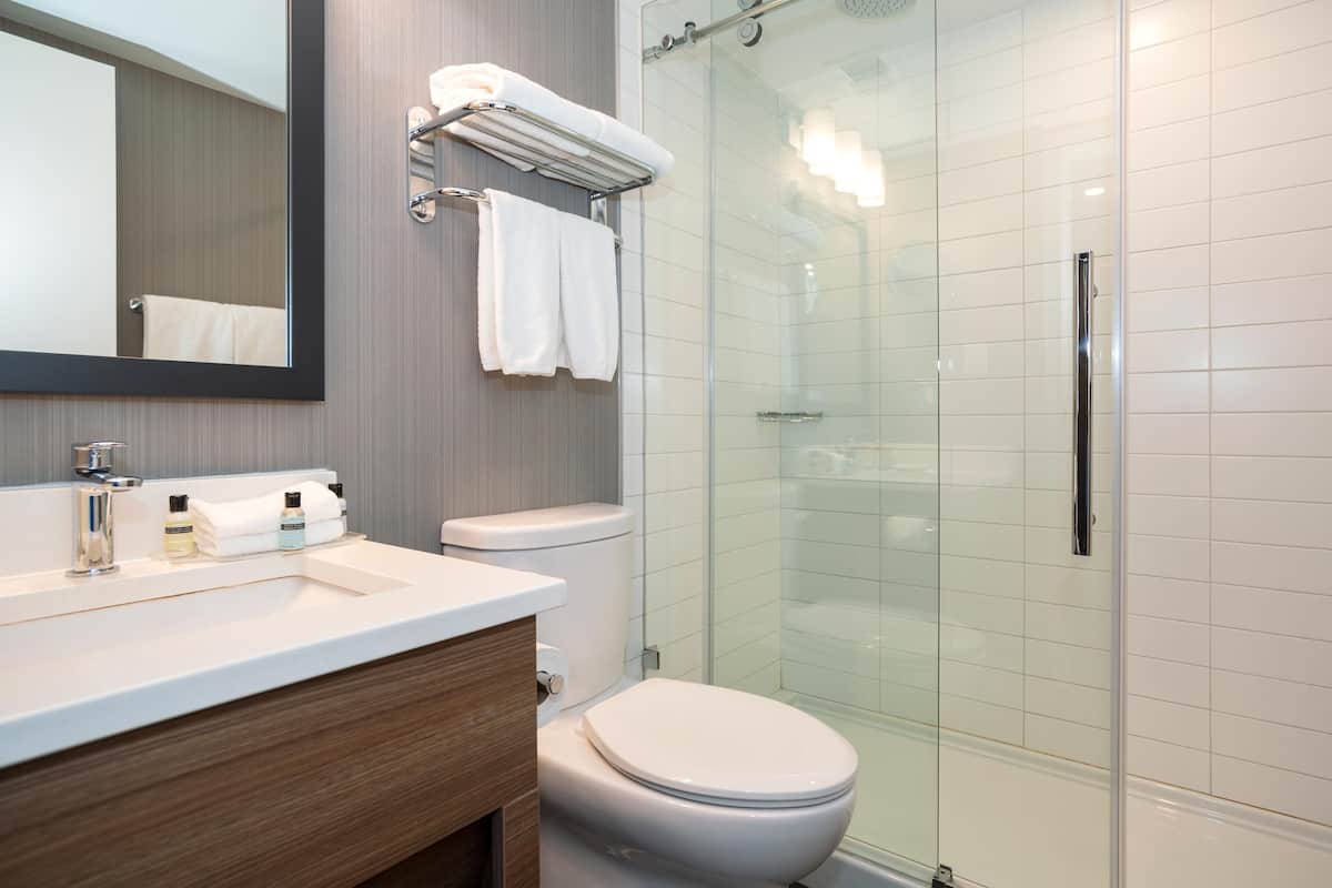 Shower, free toiletries, hair dryer, bathrobes