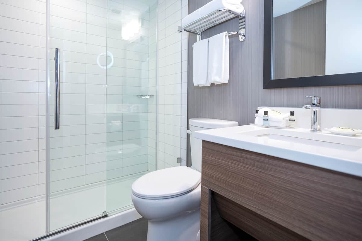 Shower, free toiletries, hair dryer, bathrobes