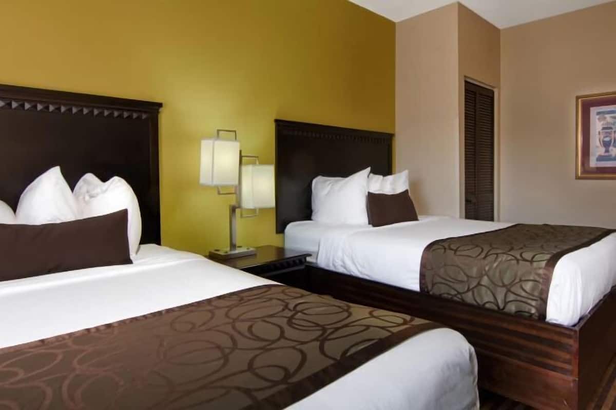 Hypo-allergenic bedding, desk, laptop workspace, blackout curtains