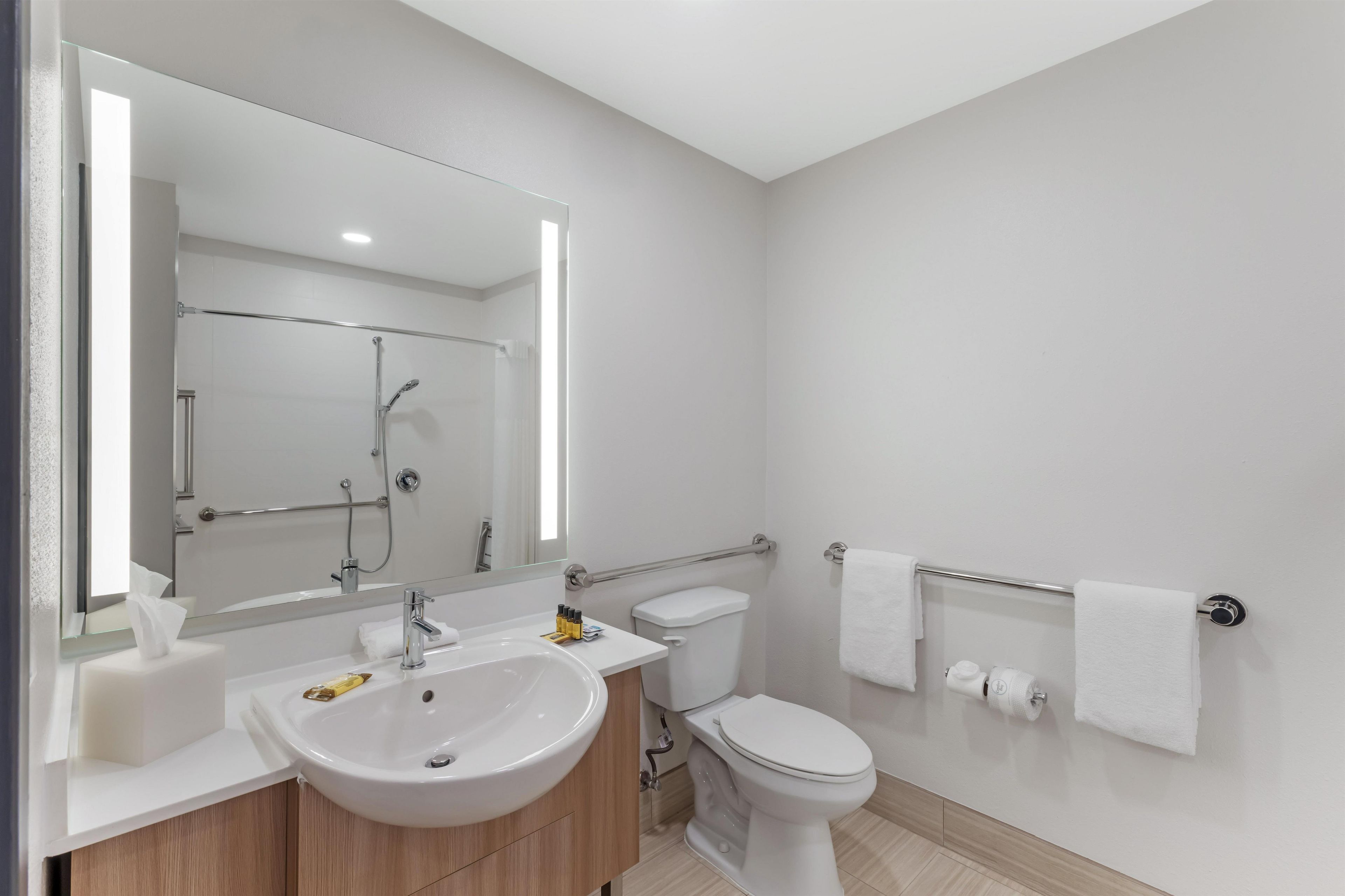 Standard Room, 1 King Bed, Accessible, Non Smoking | Bathroom
