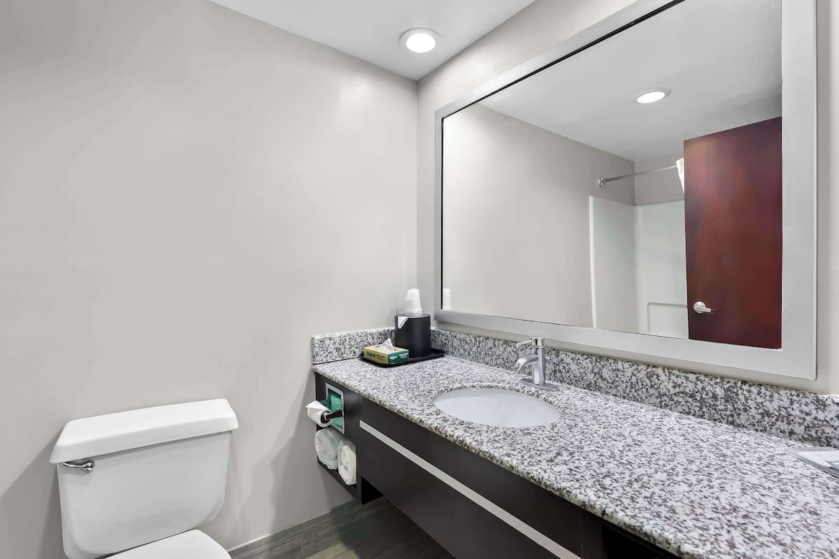 Combined shower/bathtub, eco-friendly toiletries, hair dryer, towels