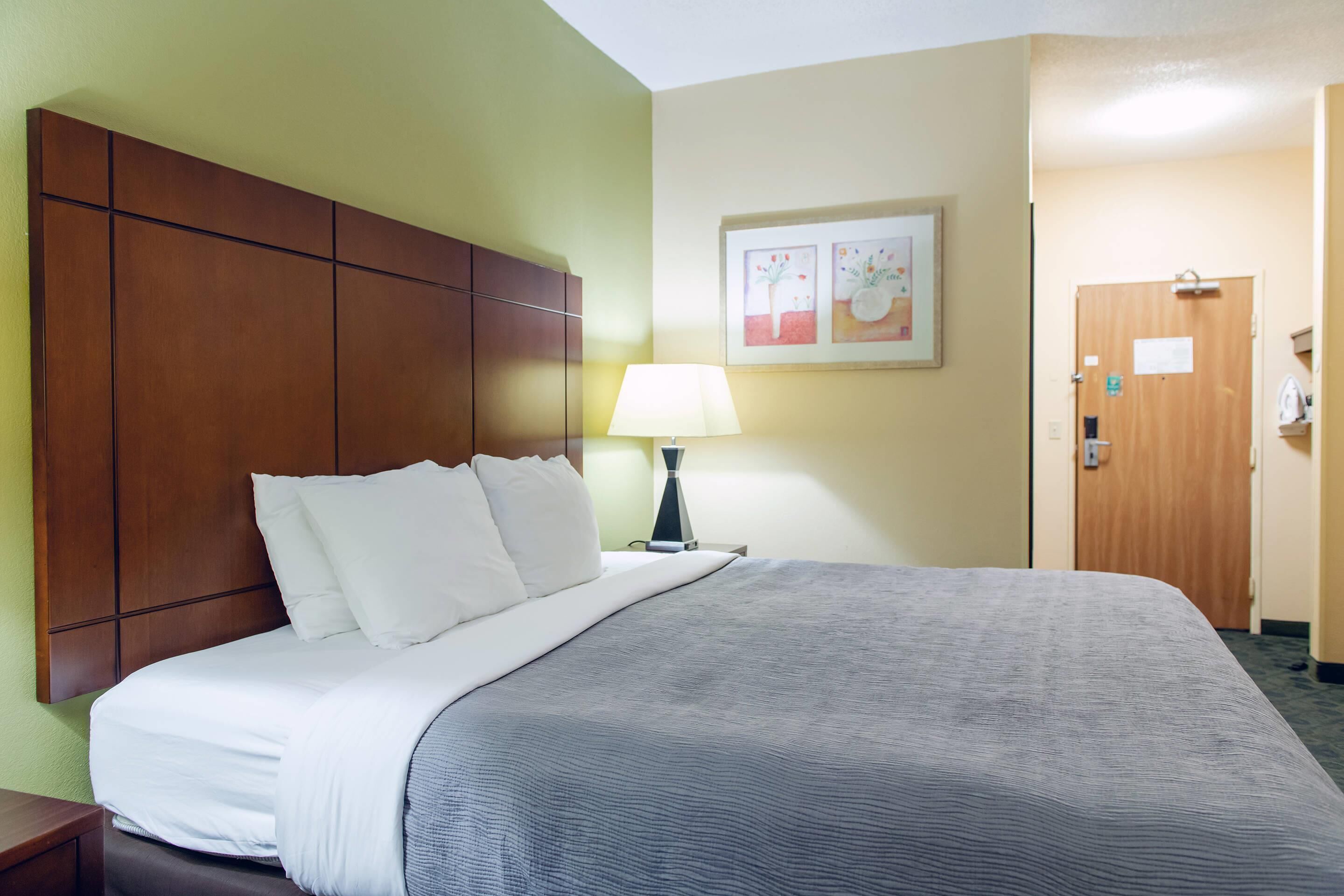 A hotel room with a large bed, a nightstand, a lamp, and a door.