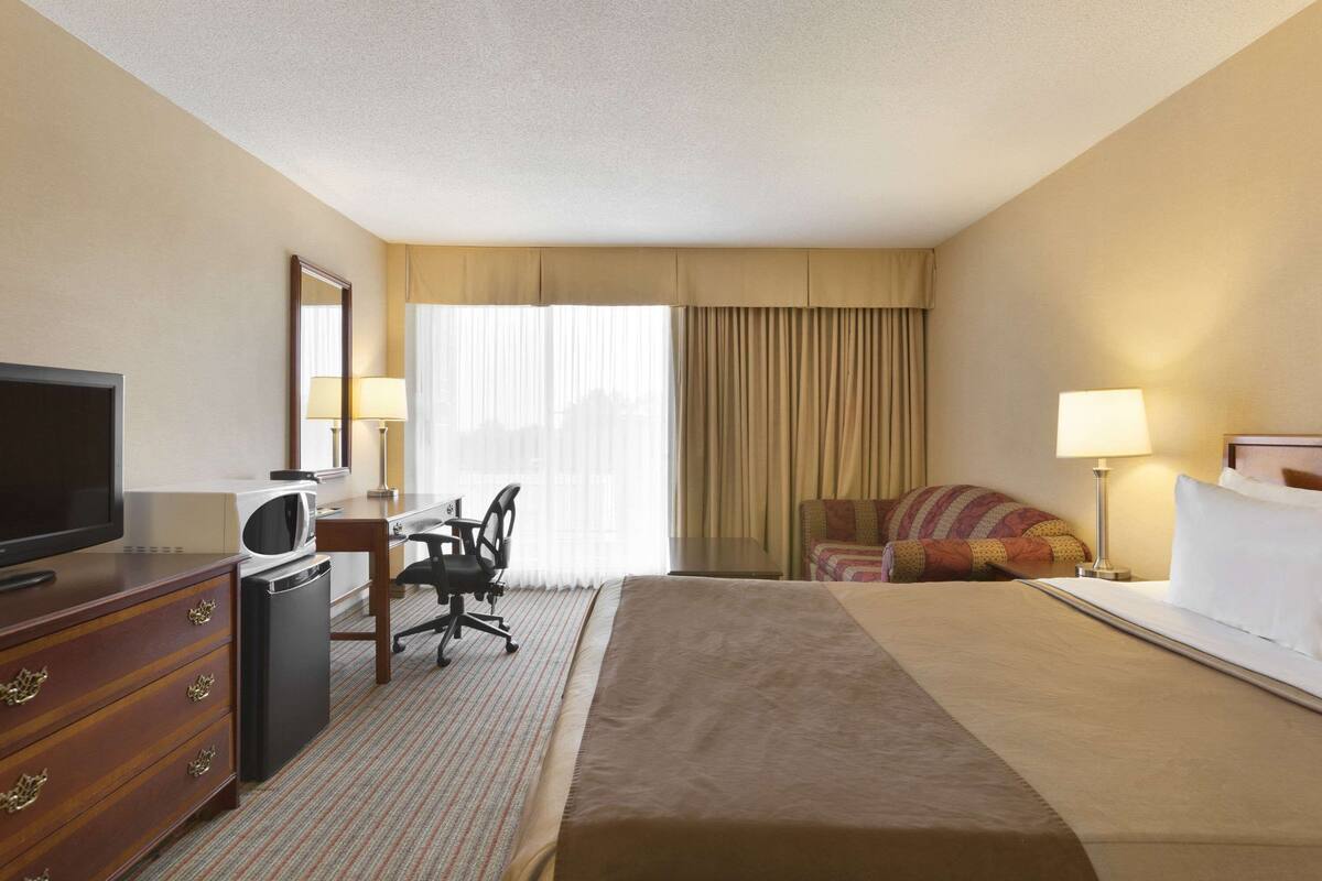 Une chambre d’hôtel équipée d’un lit, d’un bureau avec une chaise, d’une télévision, d’un four à micro-ondes et d’une lampe.
