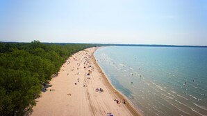 Une plage avec un rivage sablonneux et une zone boisée.