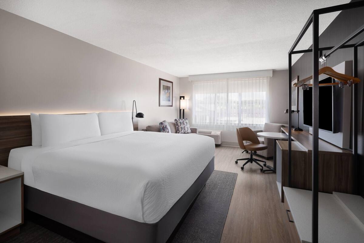 Room, 1 King Bed, Non Smoking | Desk, laptop workspace, blackout drapes, iron/ironing board