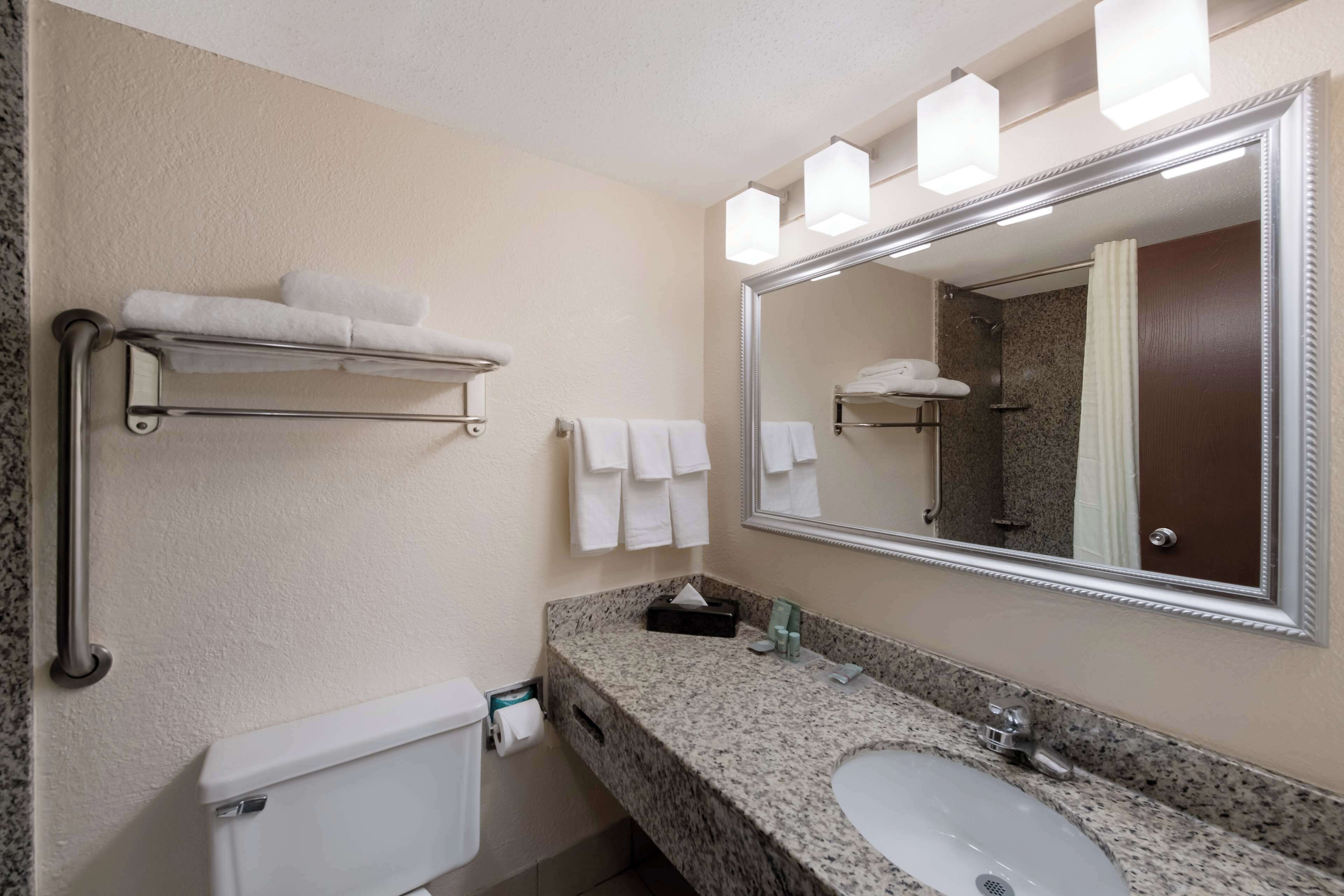 Standard Room, 1 King Bed, Non Smoking, Refrigerator & Microwave | Bathroom