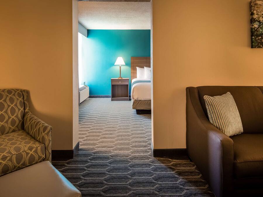 Una camera d'albergo con una poltrona con motivo decorativo, un divano, un letto con biancheria bianca, un comodino con una lampada e un quadro appeso al muro.