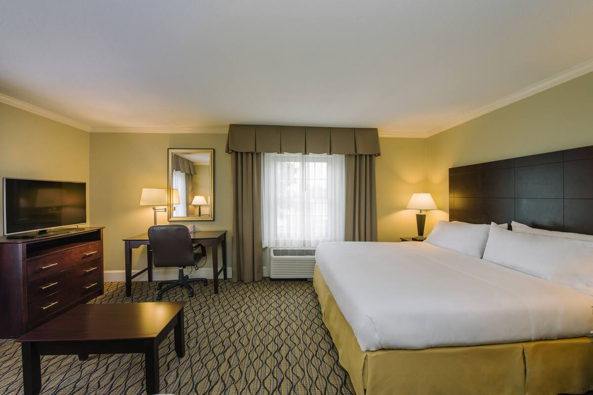 A hotel room with a bed, a desk, a television, and a chair.