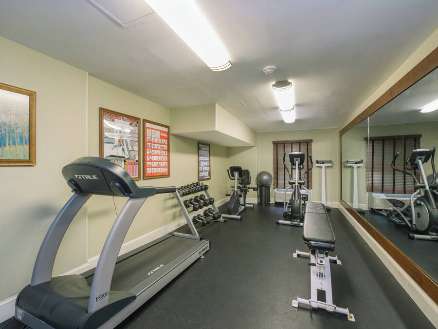 A gym with treadmills, weight machines, and exercise balls.