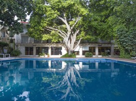 Outdoor pool, sun loungers
