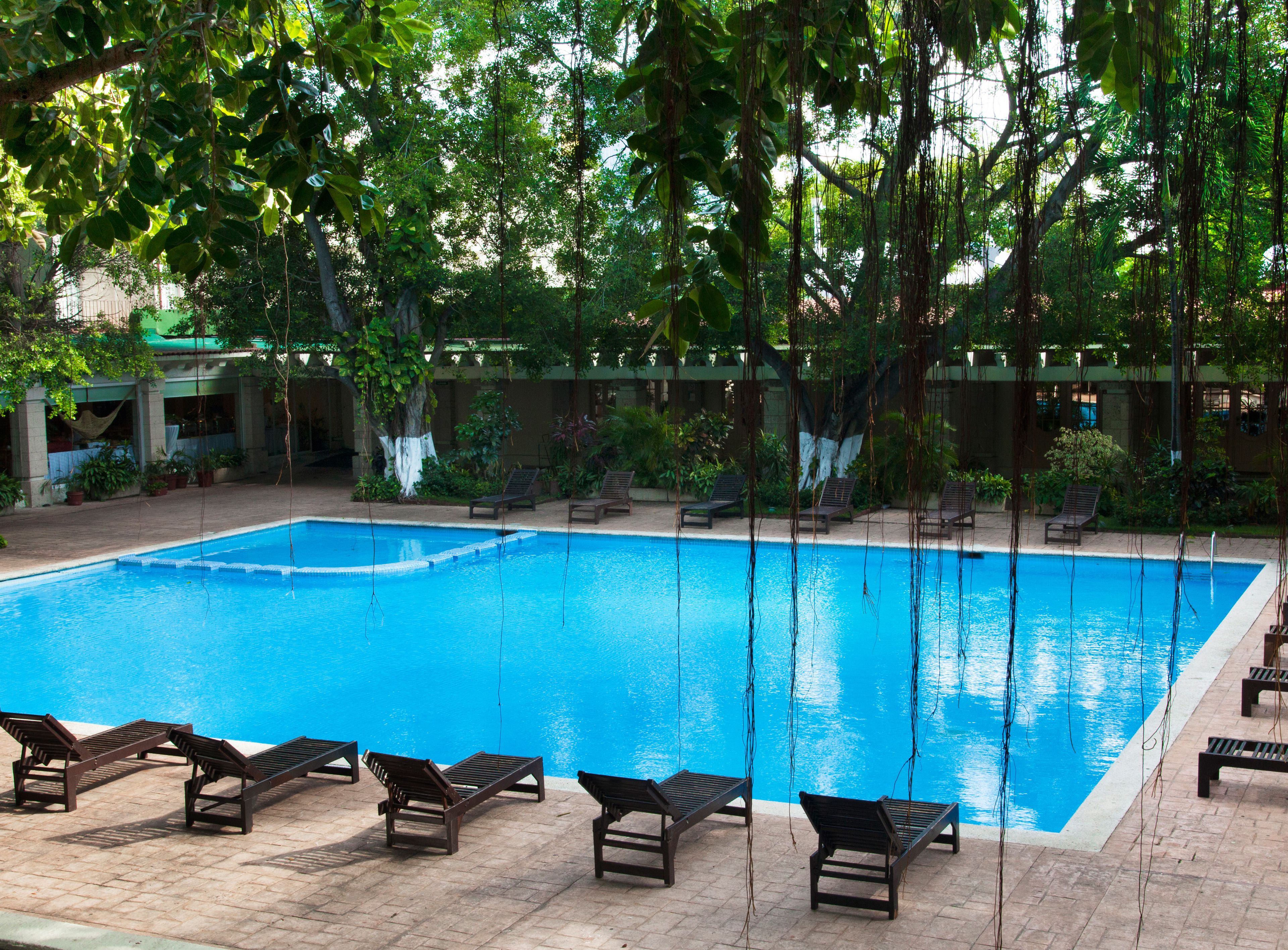 Una piscina rectangular con agua cristalina azul, rodeada de sillones de descanso y plantas en macetas.