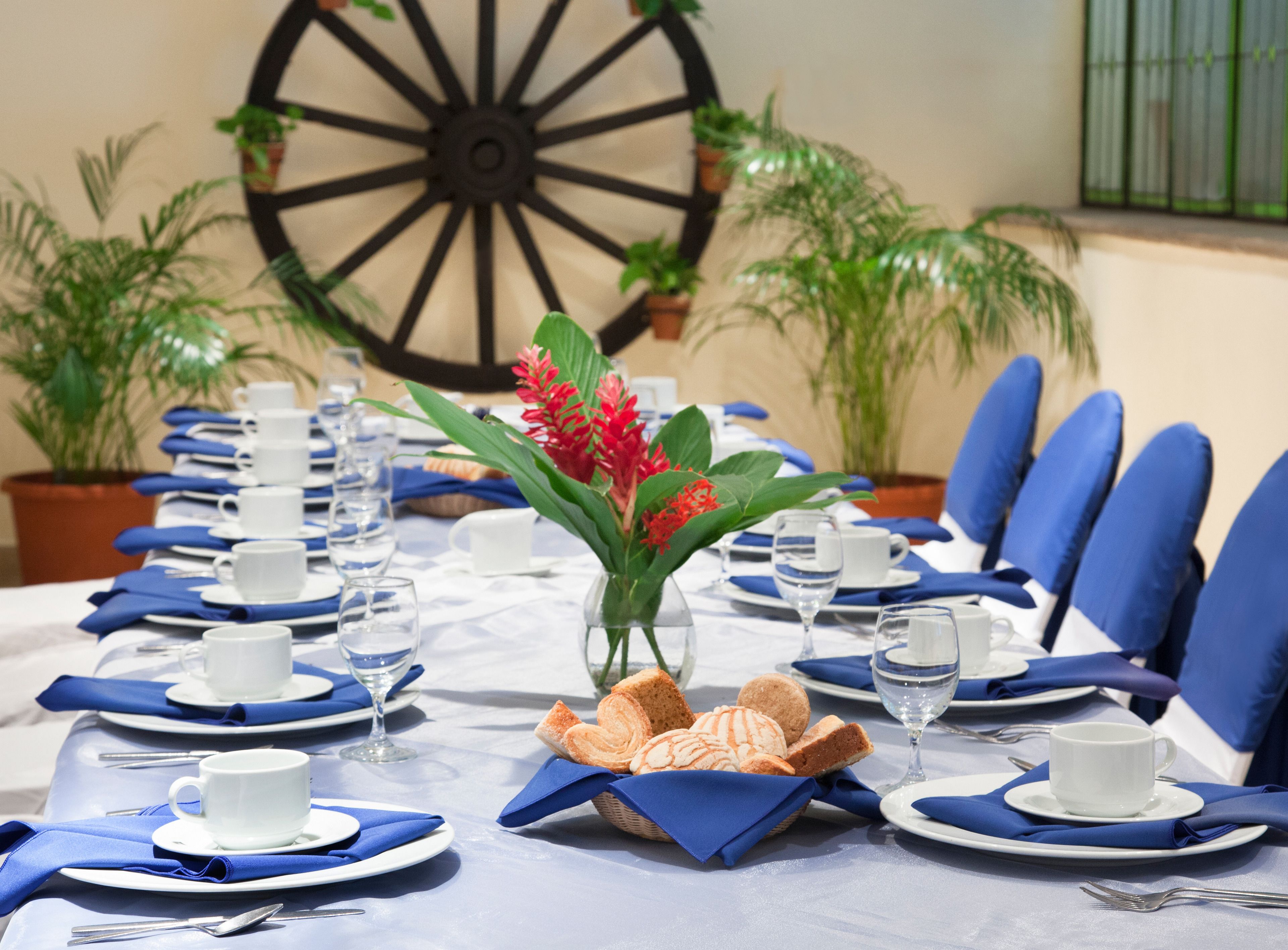 A table set for a formal dining event with white plates, blue napkins, and a centerpiece of red flowers.