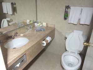 A bathroom with a sink, toilet, and mirror.