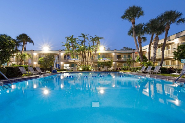 Outdoor pool, sun loungers