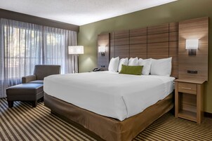 标准房, 1 张特大床, 无烟房, 庭院景观 | 客房景观